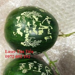Khắc dưa hấu bằng máy khắc laser CO2 siêu tốc