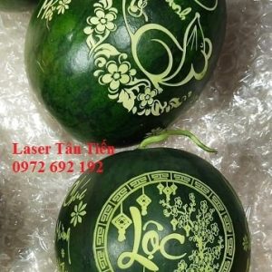 Khắc dưa hấu từ máy khắc laser co2 siêu tốc ống thủy tinh